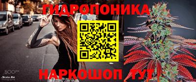 apvp Анапа