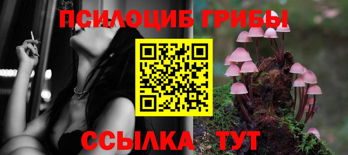 Псилоцибиновые грибы Psilocybine cubensis  Вход с VPN  Тверь  Галлюциногенные грибы Psilocybe 